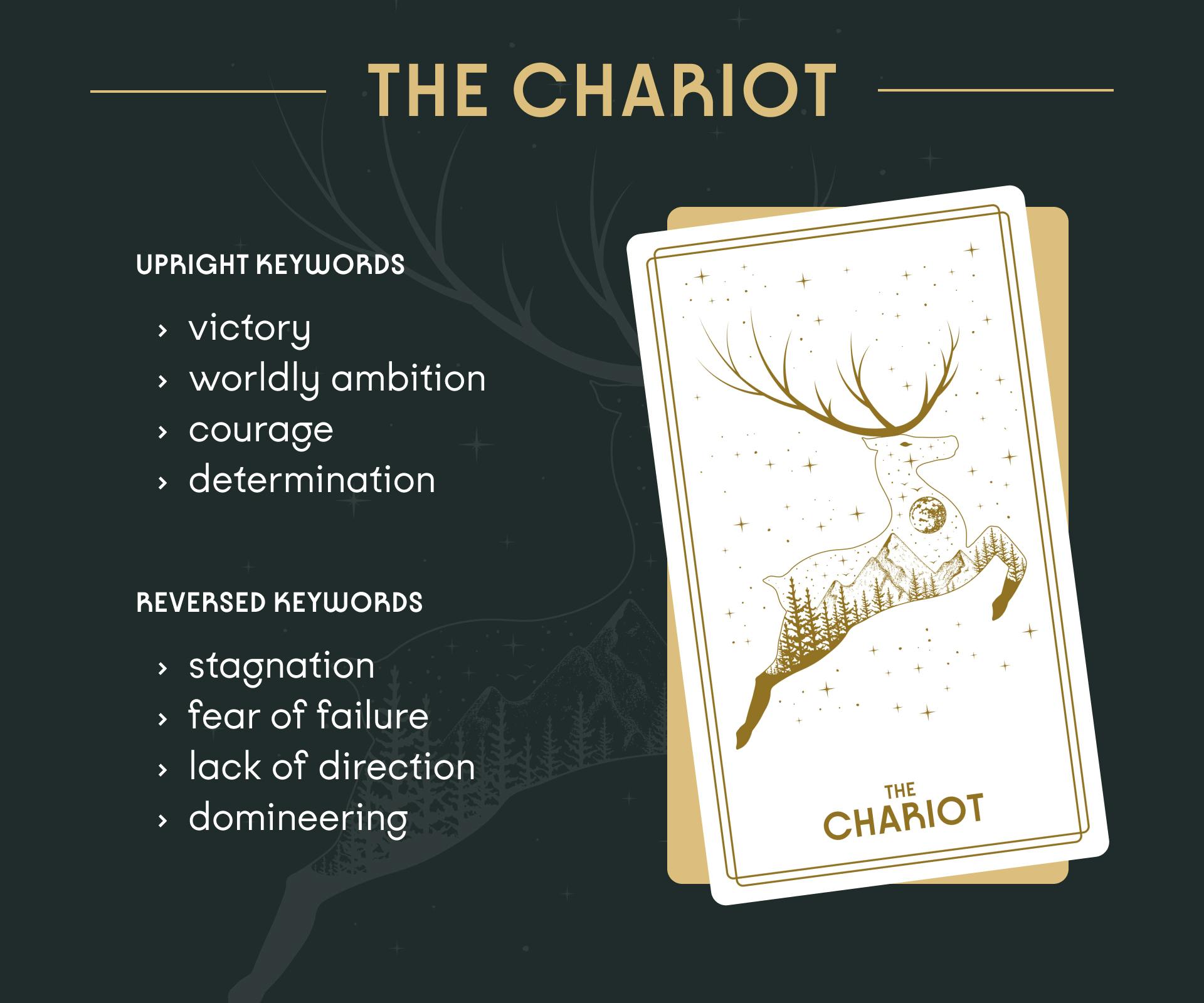 The Chariot Tarot Card Upright and Reversed Keywords